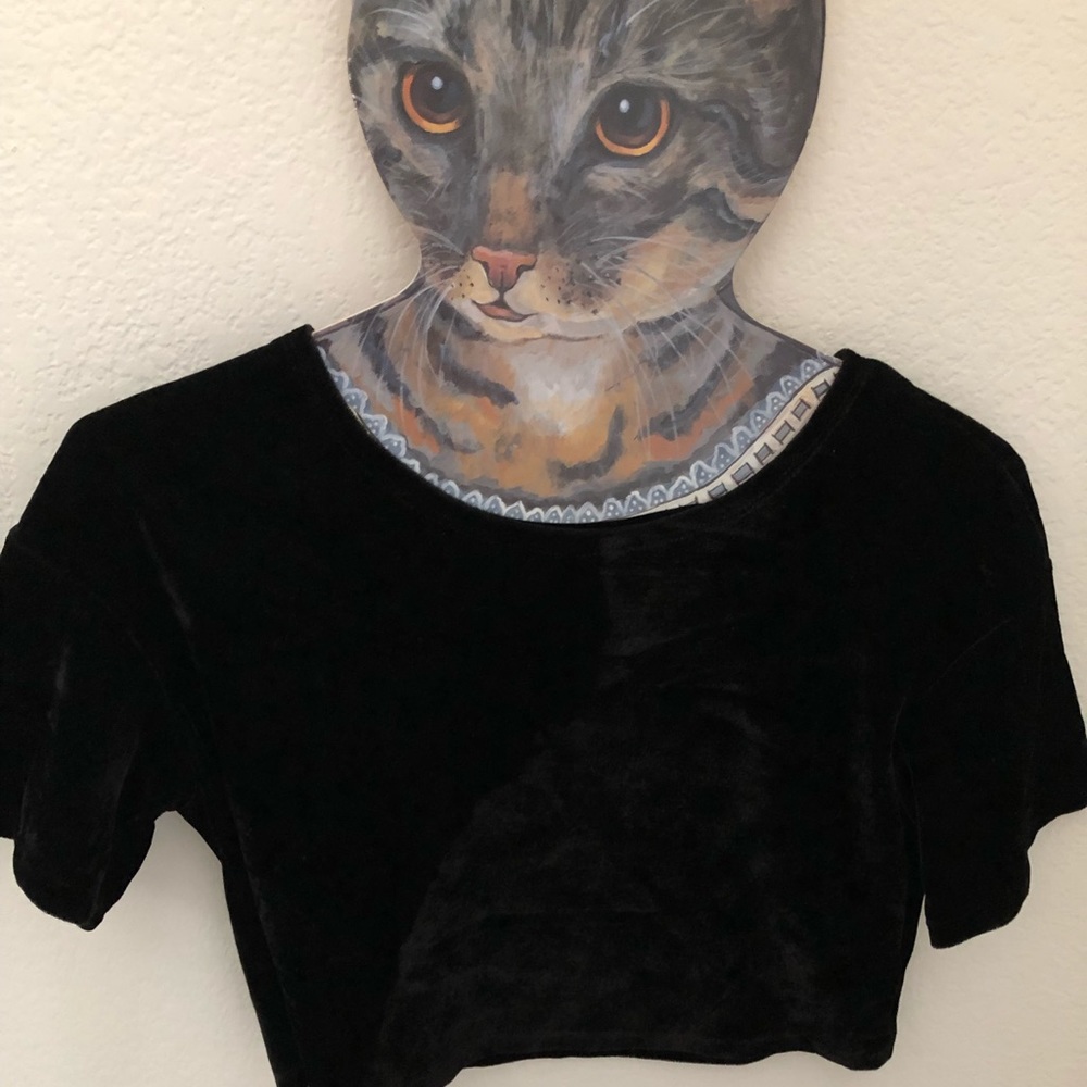 90’s Velvet Crop Top